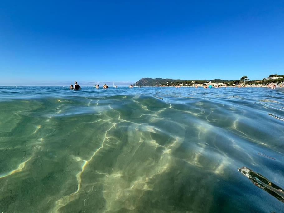 Appart Cosy, Piscine, Clim, Parking Prive - Proche Plage - Arrivee Autonome - Lit Queen Size La Seyne-sur-Mer Exteriör bild
